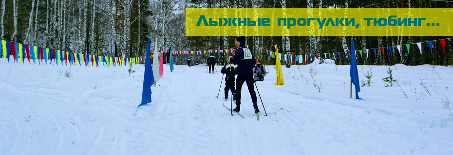 Зимние